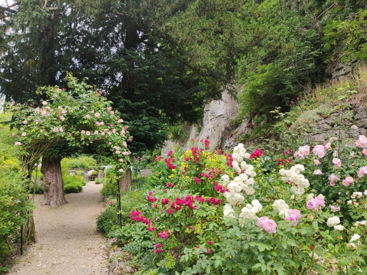 Couette-café Cascades Gardens 4*