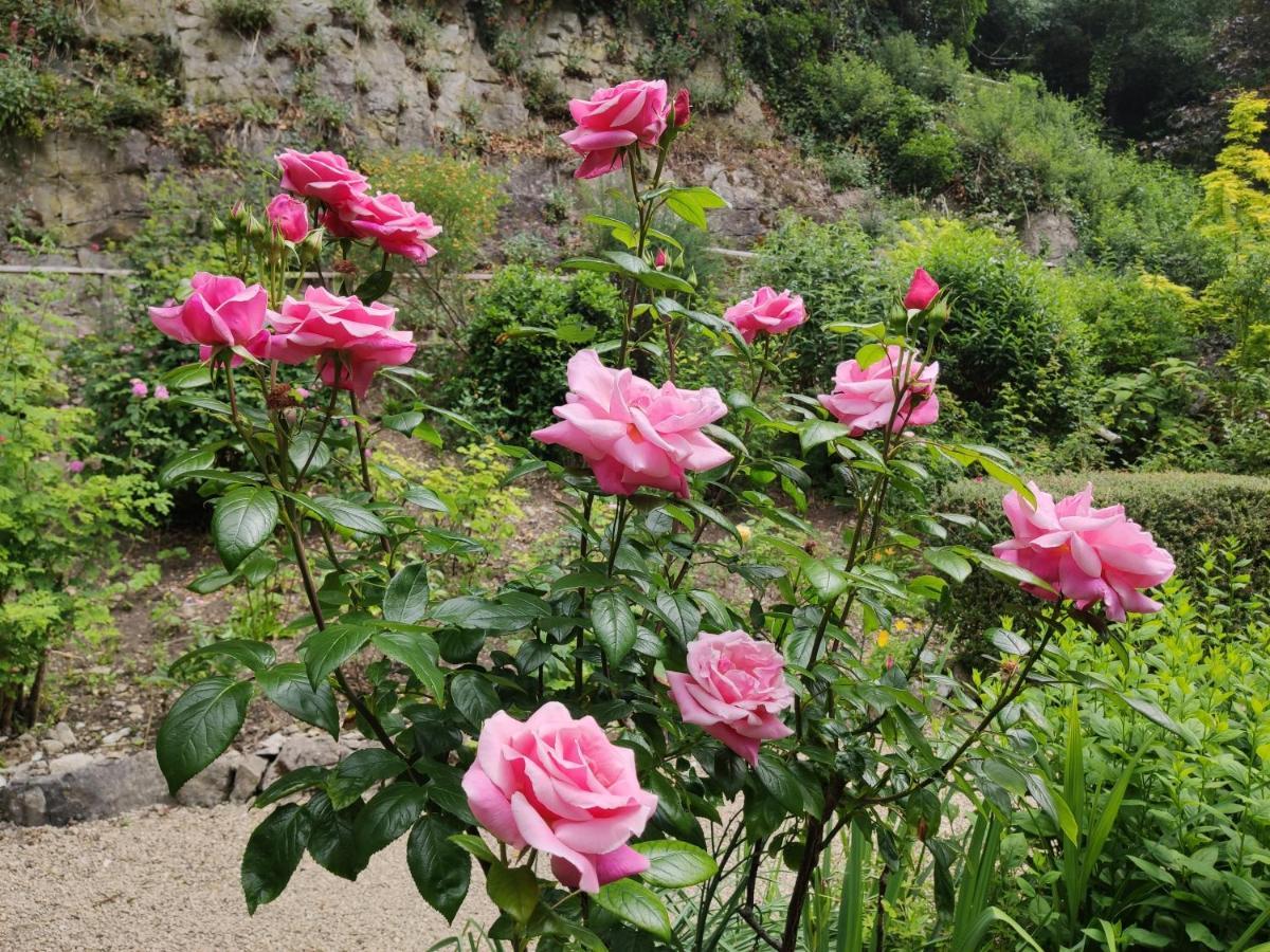 Couette-café Cascades Gardens Matlock (Derbyshire)
