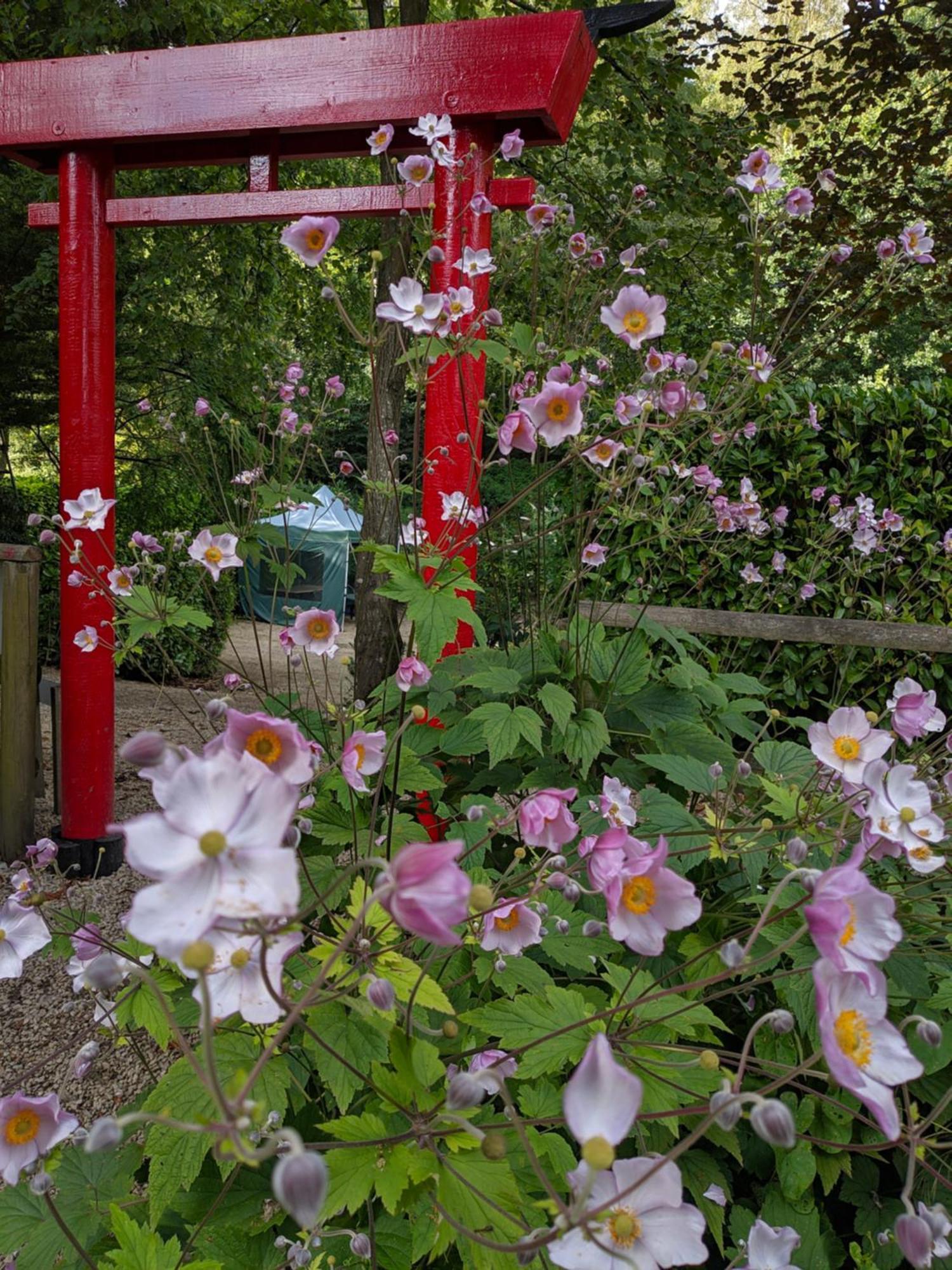 Couette-café Cascades Gardens